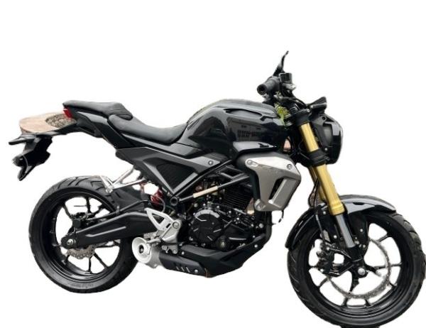 Oil Cooled 250cc Enduro Dirt Bike Gas / Diesel Fueled Customized Color