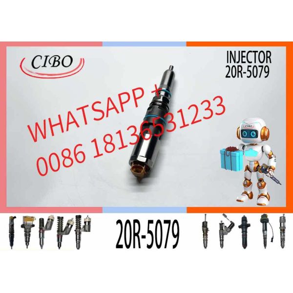 High Quality Diesel Fuel Injector C9.3 456-3493 20R-5036 367-4293 20R-5079 for  Excavator Engine EXCAVATOR PART