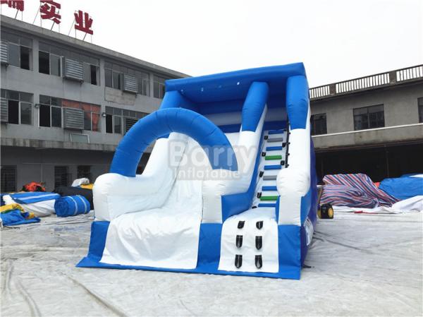 Blue Small Commercial Inflatable Slide For Children / Backyard Water Slide