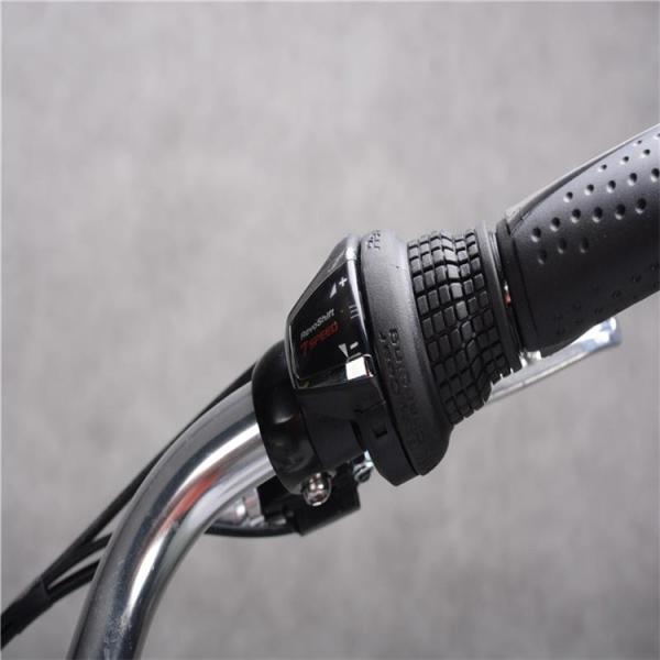 200 Watt 12 Inch Electric Bike Portable Battery 300 Lb Weight Limit 30 Km/H