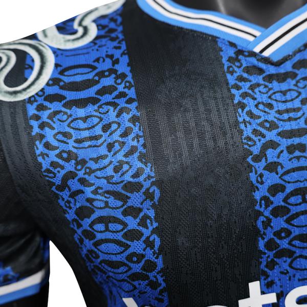 Inter Milan 2526 Pre-Match Jersey - Custom Football Shirt Slim Fit