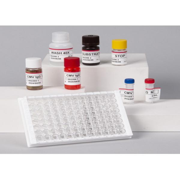 Mouse Il13 Elisa Kit Interleukin 13 Elisa Kit T-Cell Activation Protein P600