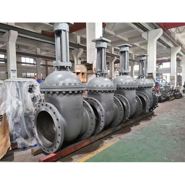 Résistance à la corrosion des vannes de porte en acier au carbone de haute résistance de 24 pouces pour l'industrie pétrolière, chimique et électrique