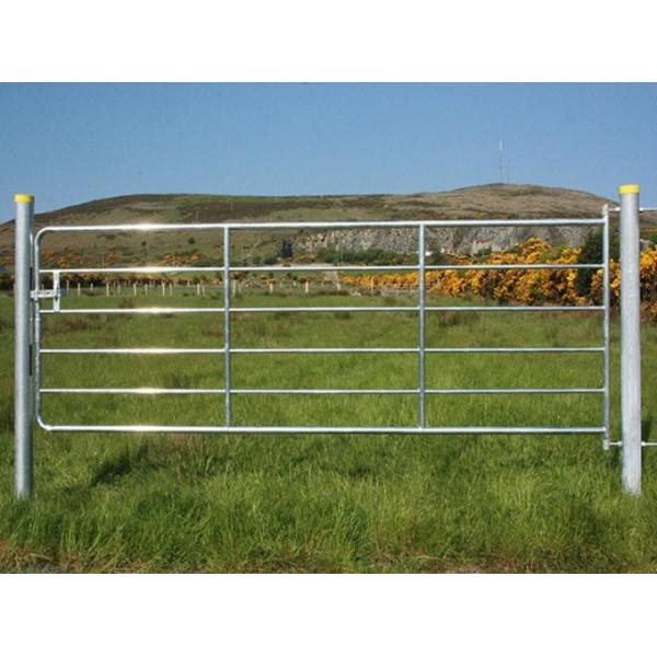 1800mm x 2100mm Horse Fence Round Pen 42mm O.D x 1.6 mm thickness Arena Corral Panel and Fram Gate Used In USA Market