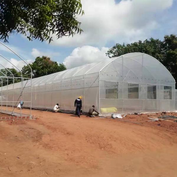 Estufa plástica galvanizada quente do túnel da tubulação de aço agrícola