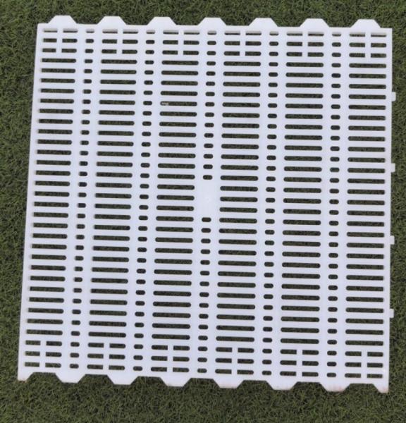 Goat Sheep PP 200kgs Plastic Slat Floor 500mm Hog Flooring Plastic