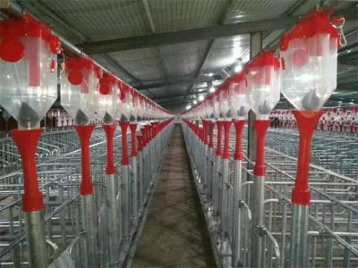 Fontes automáticas do celeiro do equipamento agrícola 45mm Dia Disc Chain Feeding Hog da pocilga