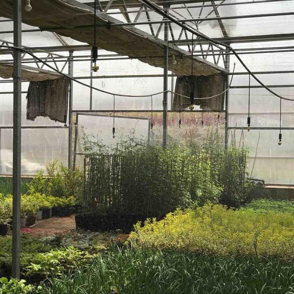 Automatic Sprinklers for Agriculture and Forestry Irrigation Rotation Efficiency