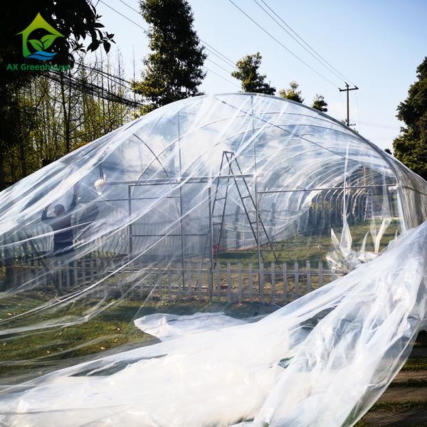 Filtro de plástico de comprimento único para o túnel de estufa para produtos hortícolas e frutos agrícolas