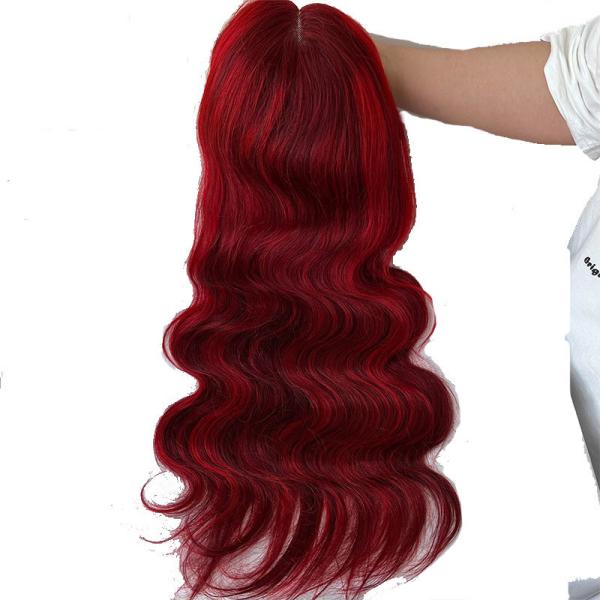 22inch Brazilian Hair P4/27 Transparent Lace Human Hair Wigs for Your Hair Needs