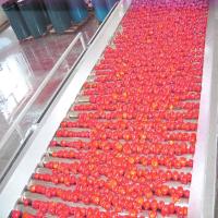 Chaîne de production concentrée automatique de sauce tomate SUS304 380V 50Hz