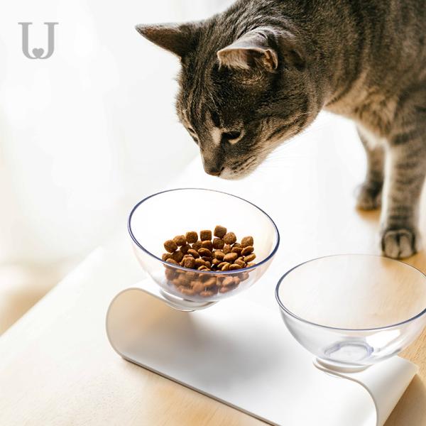 Sustainable Transparent Double Bowl Dog Feeder Tilt Elevated Cat Food Bowls