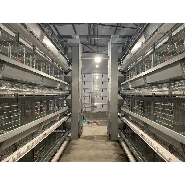 Eco - Friendly Poultry Cage Construction Smooth Surface Long Life Span