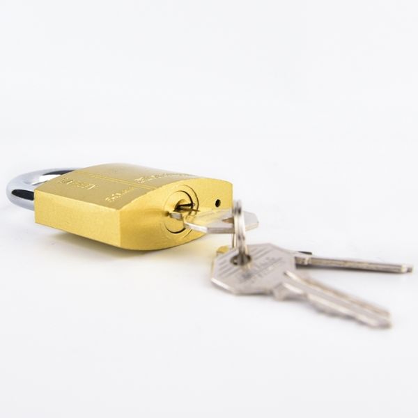 20mm Durable High Quality Brass Cylinder Spray-paint Arc Type Iron Padlock with 3 Keys ISO9001 Certified