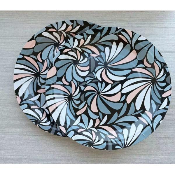 7inch Customizable Disposable Plates Colourful Party Plates for Birthday Party Tableware