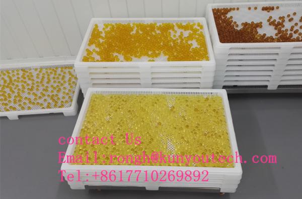 Bandejas de secagem plásticas brancas do produto comestível para cápsulas e Paintball de Softgel