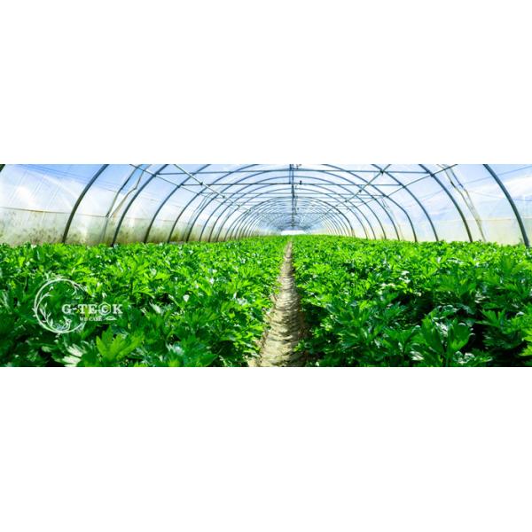 Microgranular 1-2-18 Seaweed Organic Fertilizer Alginic Acid 18%