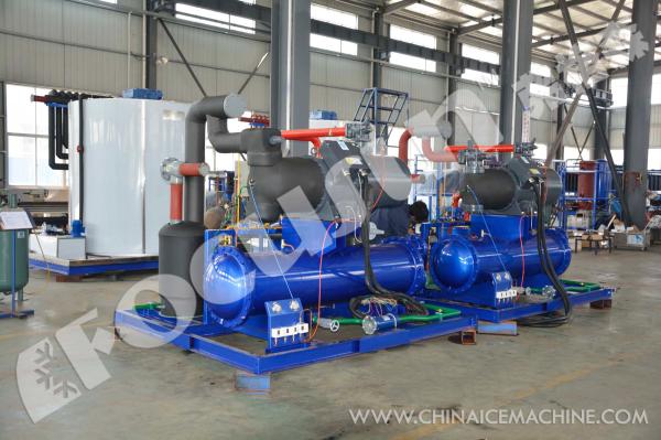 Stainless Steel 304 Industrial Flake Ice Compactor for 40T Ice Bar Production in Africa