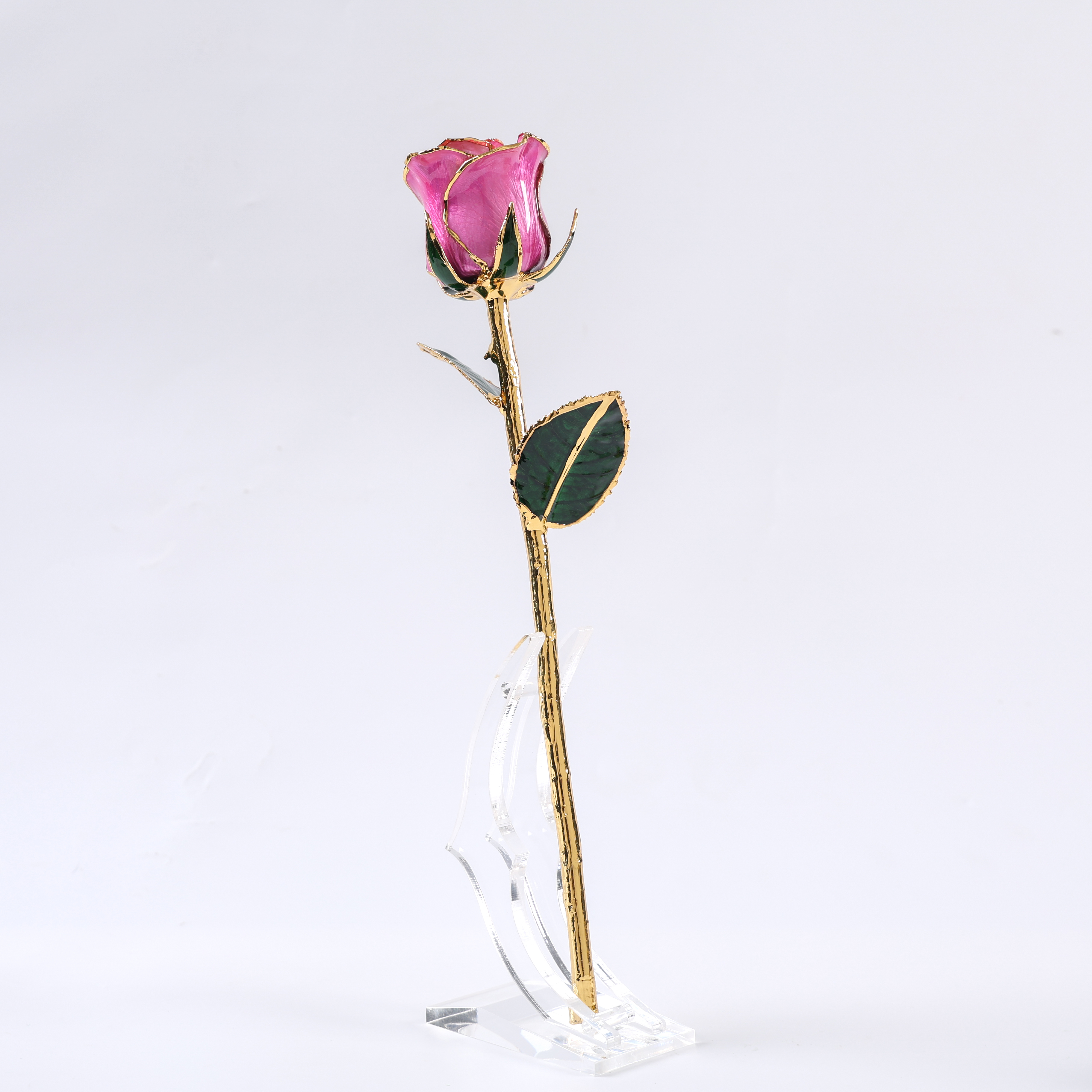 European and American 24k Gold-plated Rose Gold Natural Real Rose Valentine's Day Wedding Anniversary Proposal love Gift