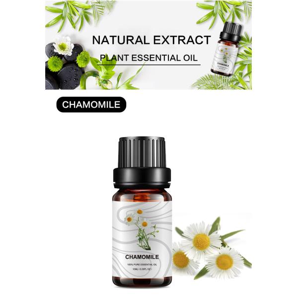 German Blue Chamomile Essential Oil Aromatherapy 100% Pure Skin Care OEM