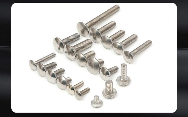 Stainless steel carriage square neck screws bolt