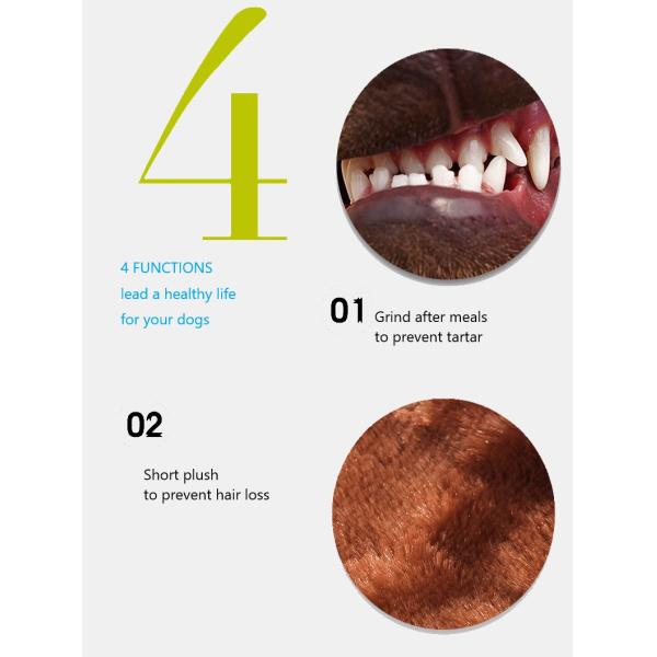 Molar Indestructible Plush Squeaky Dog Toys Brown Puppy Chew Toys