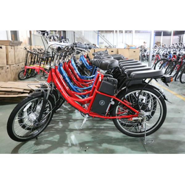 25km/H Pedal Assist Electric Bicycle 36V 250W For Adult And Child