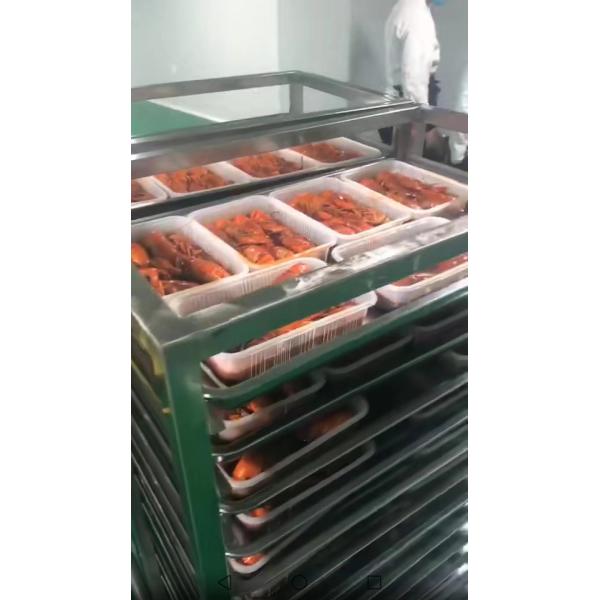 Отрицательный небольшой тип замораживатель комода 196C SS комода Ft Cu замораживателей 21