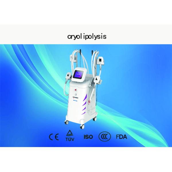 Professional Cryolipolysis Fat Freeze Slimming Machine 4 Handles Available