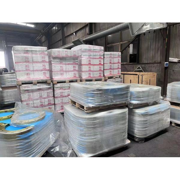 Dn15-Dn1200 Stainless Steel Threaded Pipe Flange 300lbs Multi Standard