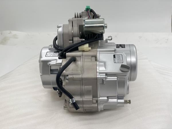 DAYANG 120cc Air Cooled Motorcycle Engine with Electric Start and Air Class Cylinder