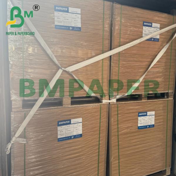 210gsm 230gsm Biodegradable Hot Coffee Tea Cup Paper Raw Material 210gsm 230gsm Biodegradable Hot Coffee Tea Cup Paper Raw Material