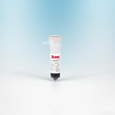10 ML BeaverBeads Magnetic Beads NHS 300 Nm For Cell Isolation With Higher Sensitivity