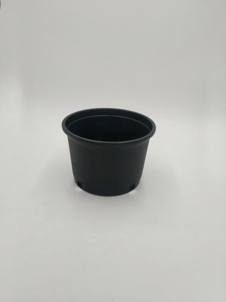 hard plastic 2 gallon plastic bucket plant watercress nutrition  pot