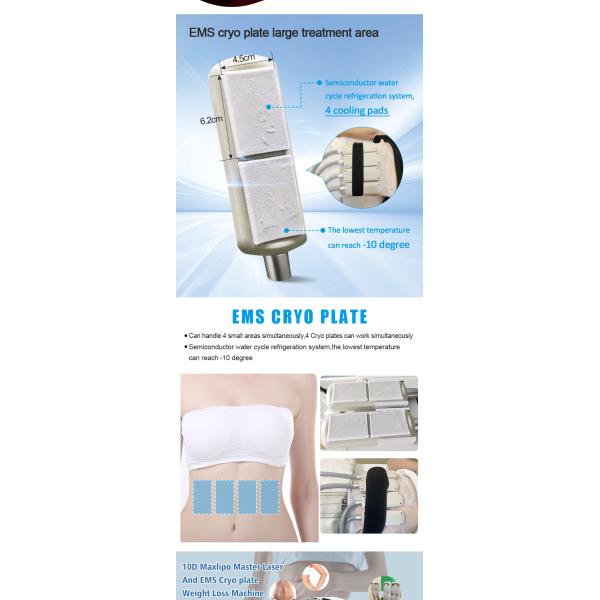 XM-227 Weight Loss Green Laser 10D Maxlipo Master Laser And EMS Cryo plate Beauty Machine
