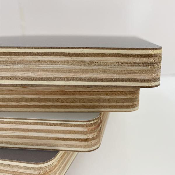 Bio Glue marine plywood sheets Sea Sourced Adhesive Panel For Home Kitchen Cabinet