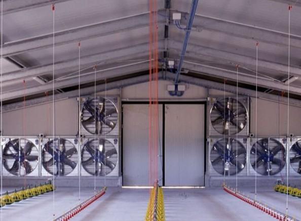 Chicken Farm Cooling Fan System