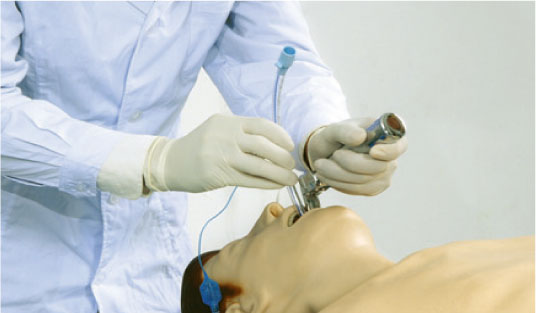 Online Version Full - body Adult Nursing Manikin for Clinical Training
