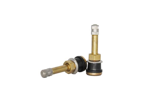 Truck and Bus Straught Brass Tire Valve TR500 V3.21.2 55mm Size ISO9001 Certified