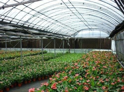 10mm Size Factory Price Poultry Farm Cooling Pad Wall Greenhouse Cooling Pad With PVC Plastic Outer Frame