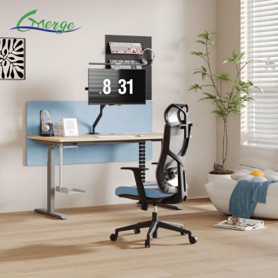 Modern Work Office Desk with Cable Management Uplift Standing Desk 355 Lbs Weight Capacity Modern Style