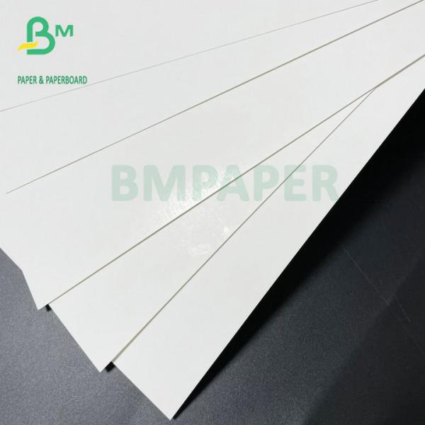 Strong Stiffness 300GSM 350GSM Ivory Board FBB Paper 72x102cm Strong Stiffness 300GSM 350GSM Ivory Board FBB Paper 72x102cm