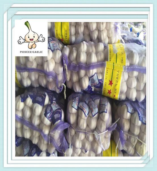 Pure White Export Garlic - 1kg/Mesh Bag China Cold Store Garlic Fresh White Garlic In 500g