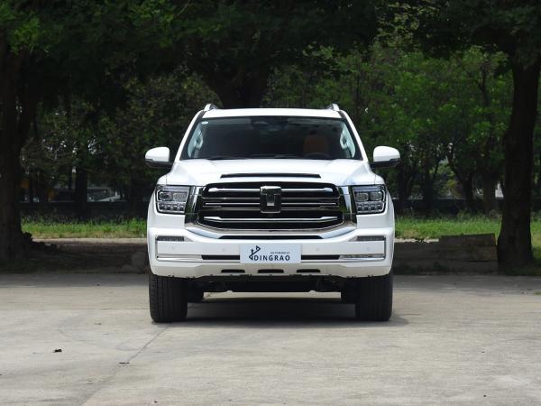 Competitive 5 Seat 5 Door 3.0T Tank 500 SUV 500Nm 265Kw 360Ps 4WD New Energy Hybrid EV Gasoline Petrol Fuel New Car