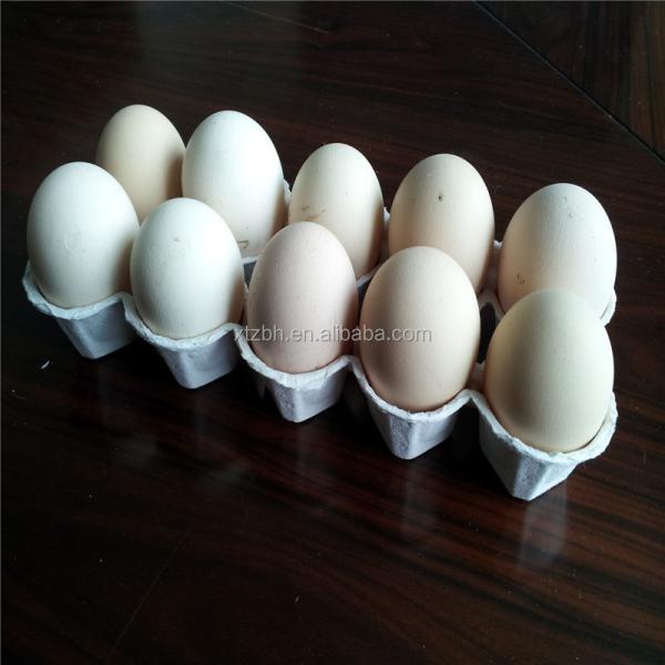 Large Output  Egg Box Forming Machine Waste Paper Tray Packaging