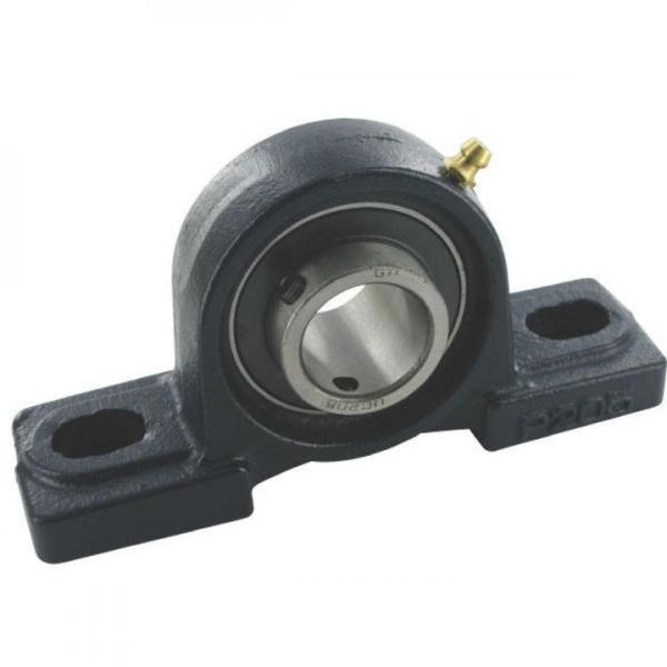 Alloy Steel Bearing UCP205 Pillow Block Bearing 25*34.1*142mm