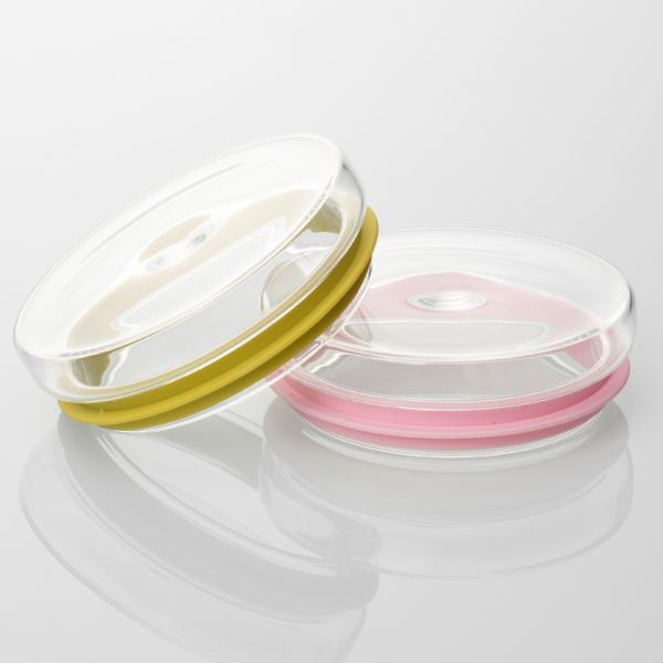 Modern Stylish Borosilicate Glass Storage Jar Kitchen Food Storage Spice Jar Set