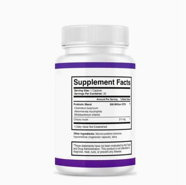 GLP-1 Probiotics Maintain a Balanced Intestinal Environment, Vegetarian Capsules, Organic Prebiotics-Organic Prebiotics