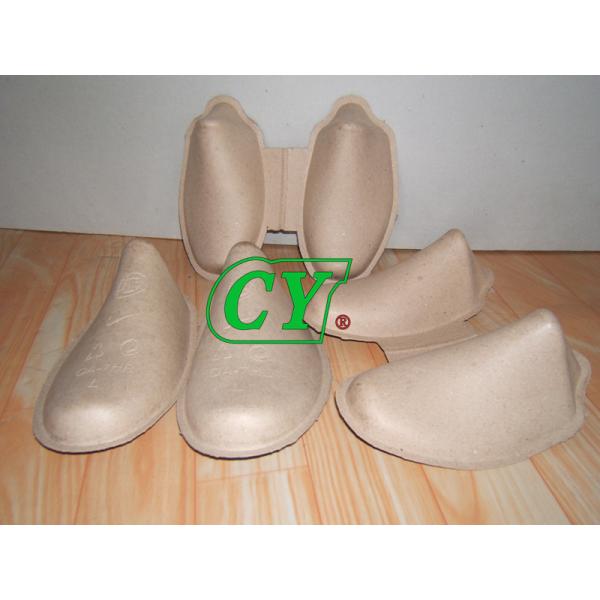 Single Layer Pulp Drying Machine Pulp Molding Production Line