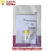 SYBR Green qPCR Mix for Roche Biorad DNA real time PCR 5ml